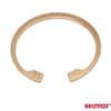 REC3852665 - CIRCLIPS SOUFFLET ECHAPPEMENT VOLVO PENTA